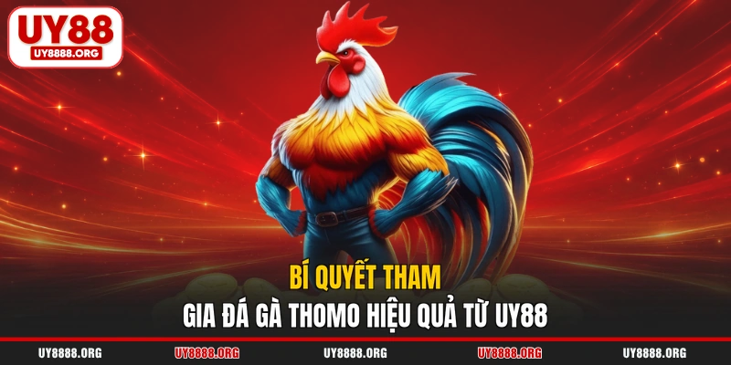 Bí quyết tham gia đá gà Thomo hiệu quả từ UY88