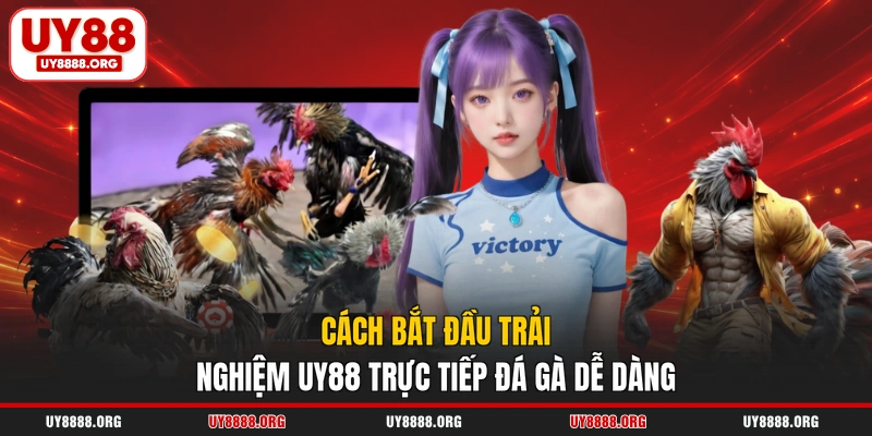 Cách bắt đầu trải nghiệm UY88 trực tiếp đá gà dễ dàng