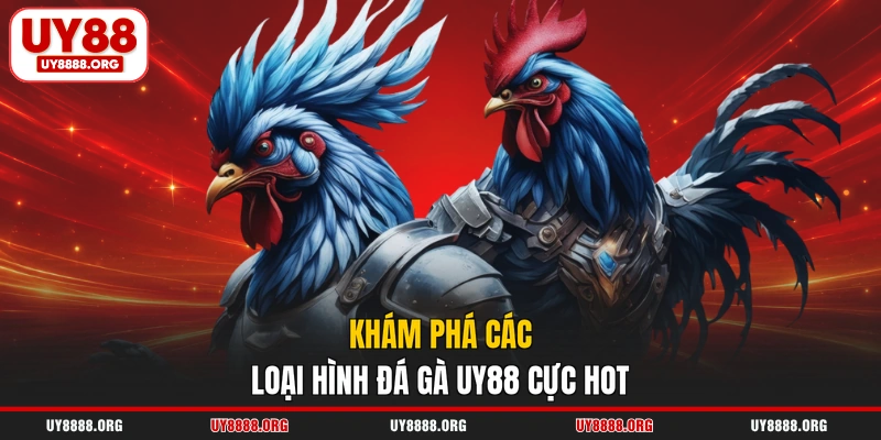 Khám phá các loại hình đá gà UY88 cực hot