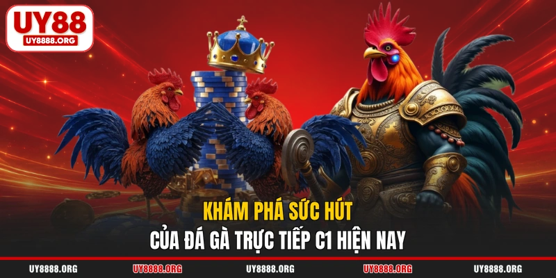Khám phá sức hút của đá gà trực tiếp C1 hiện nay Khám phá sức hút của đá gà trực tiếp C1 hiện nay