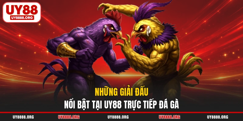 Những giải đấu nổi bật tại UY88 trực tiếp đá gà