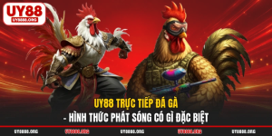 UY88 Trực Tiếp Đá Gà - Hình Thức Phát Sóng Có Gì Đặc Biệt